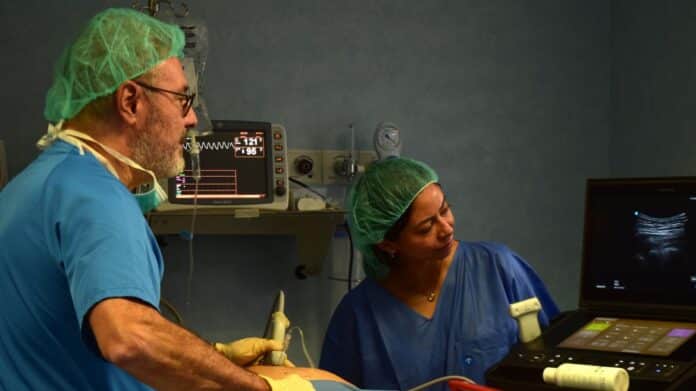 Practical Course of Regional Anesthesia at the Prince of Hospital An anesthesiologist uses an ultrasound machine to monitor the administration of regional anesthesia in a patient.