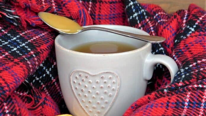 Taza de infusión y rodajas de naranja sobre una manta