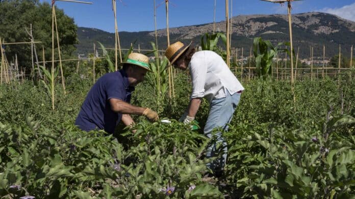 La Comunidad de Madrid Entrega en un Día Casi el profesional trabajando en agricultura