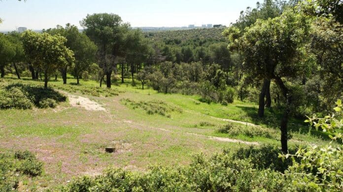 Monte de Valdelatas