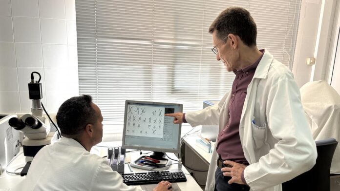 Unidad de Genética del Hospital Príncipe de Asturias supera los profesionales sanitarios trabajan en la Unidad de Genética Clínica del Hospital público Príncipe de Asturias