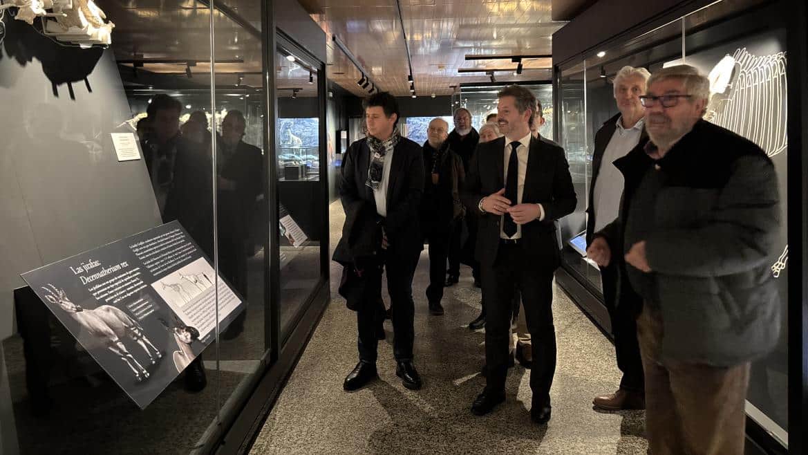 Homenaje en Madrid: Lanzan Guía de Paleontología en Honor a Emiliano Aguirre