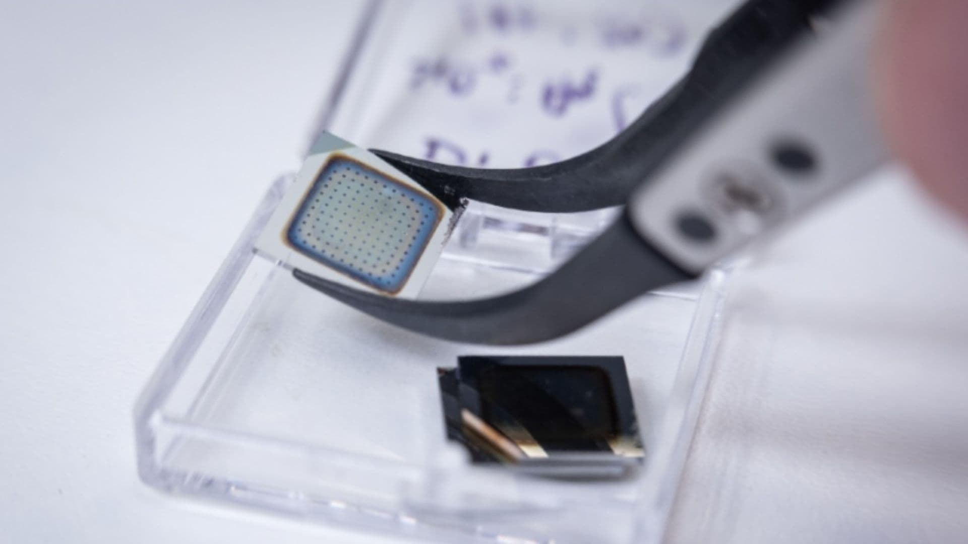Innovador ‘Transneurón’ Artificial Revoluciona la Robótica con Percepción Similar al Cerebro Humano
