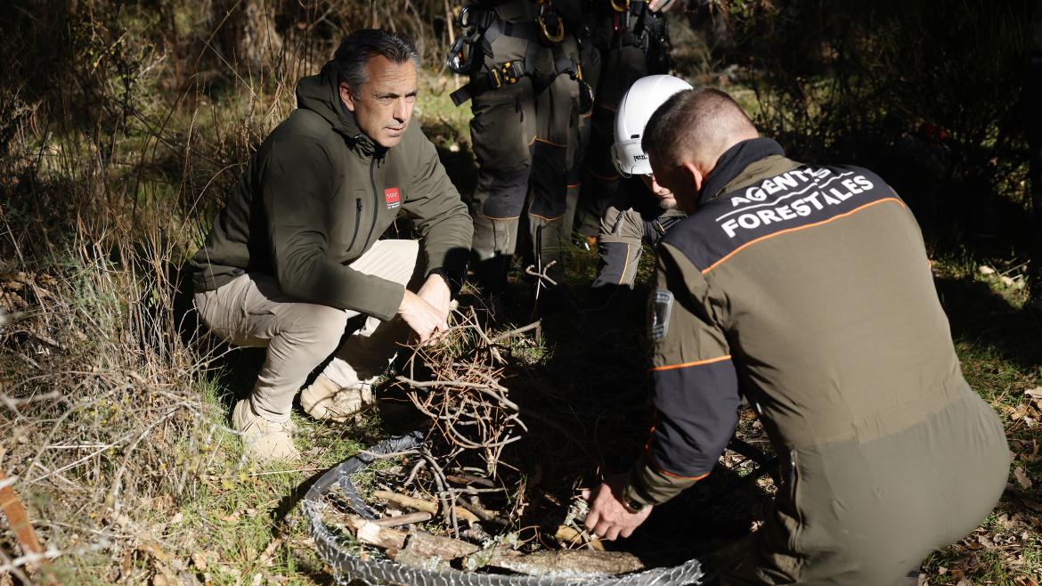 Protección Avifauna: Madrid Intensifica Esfuerzos con 140 Actuaciones en Nidos de Aves Amenazadas