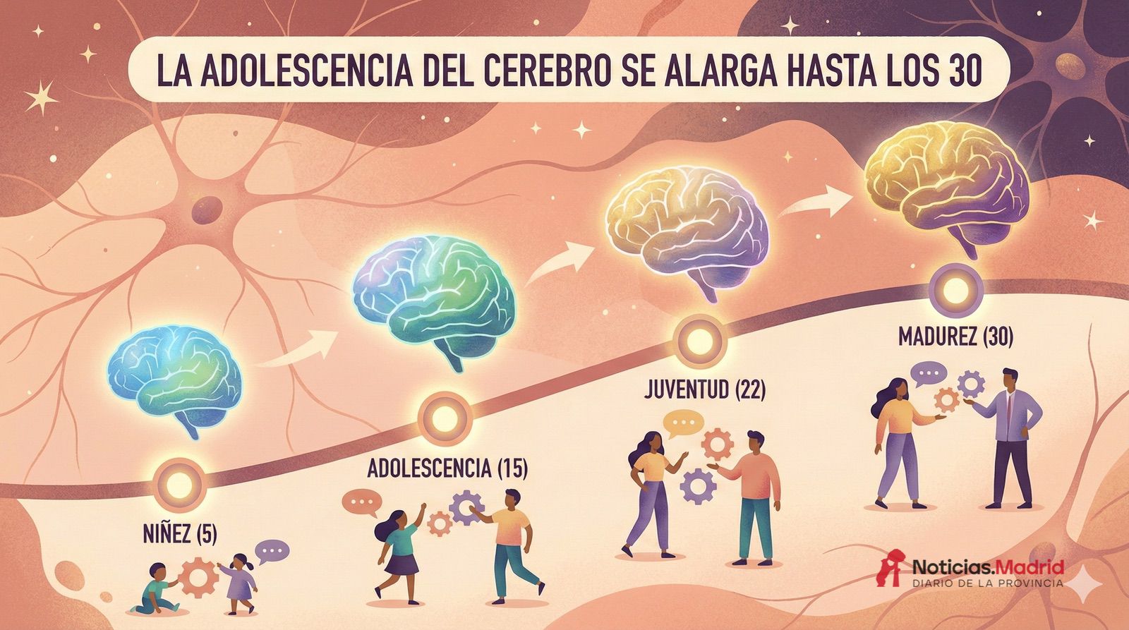 La adolescencia del cerebro se alarga hasta los 30: un nuevo estudio fija cuatro “puntos de inflexión” en la vida mental