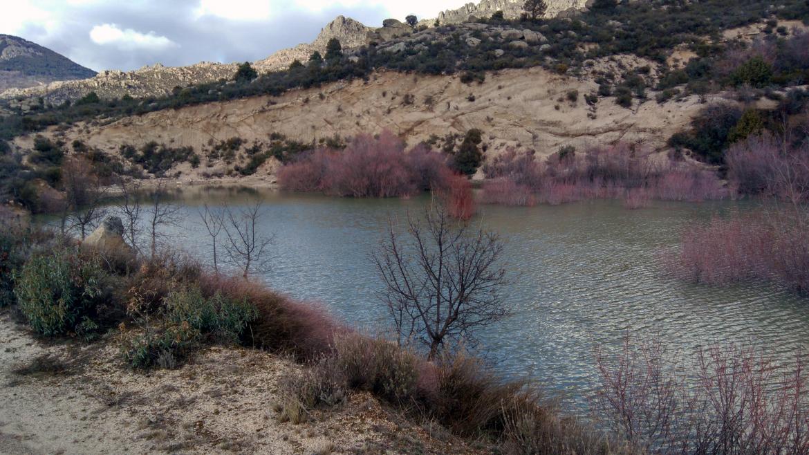Ayudas de 500.000 euros impulsan proyectos ambientales de entidades sin ánimo de lucro en Madrid