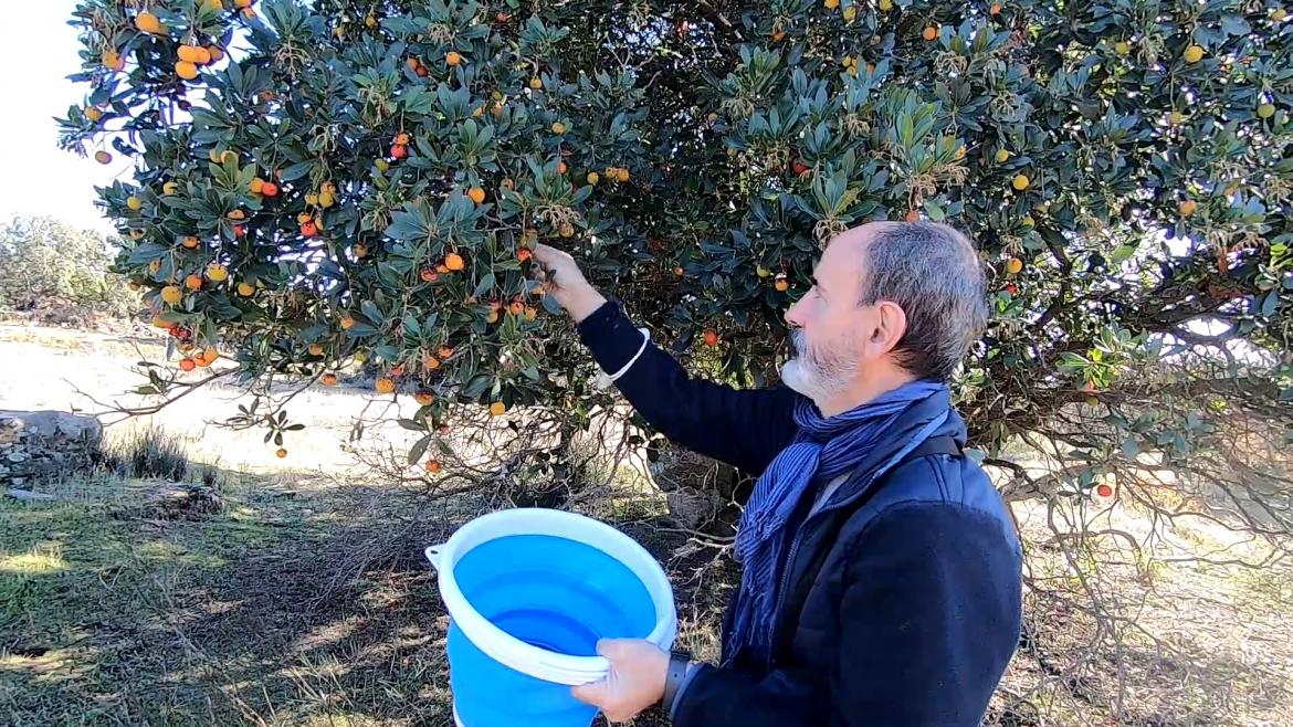 Formación Gratuita del IMIDRA Beneficia a 1.300 Personas en Sectores Agroforestales y Alimentarios en Madrid