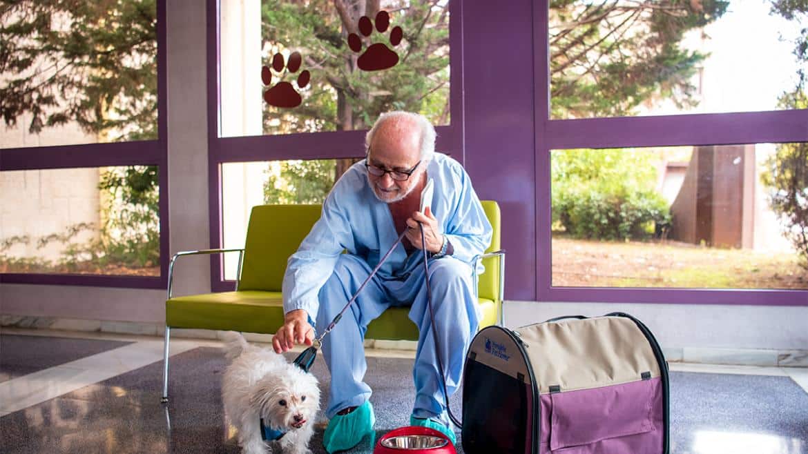 Hospital de Getafe Permite Visitas de Mascotas Caninas para Pacientes
