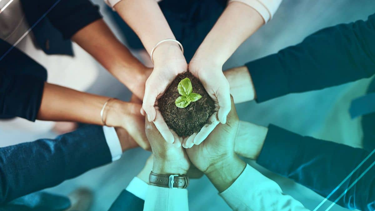 Impulso Sostenible: Más de 2.500 Empresas se Comprometen con la RSC y 2.000 Transparentan su Impacto Ambiental y Social