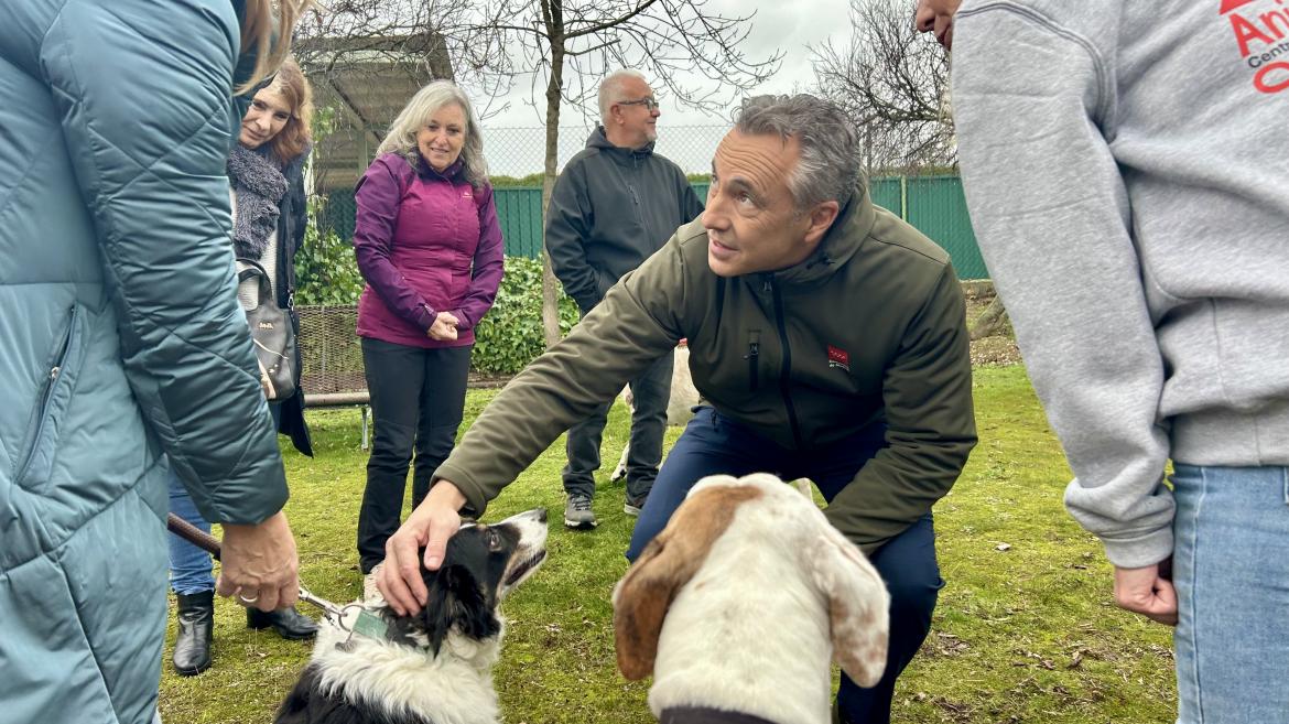 Innovadora Actualización de la App Mascomad en Madrid: Impulso a la Adopción Animal y Mejoras para Propietarios