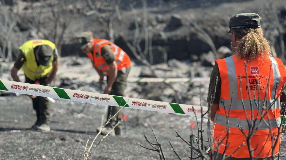 Investigación en Madrid para Recuperar Suelos Devorados por Incendios en Tres Cantos y Aranjuez