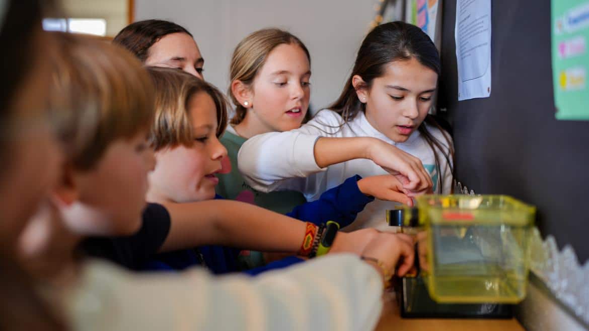 La Comunidad de Madrid Implanta la Jornada Partida en Colegios Públicos para Optimizar Rendimiento y Conciliación Familiar