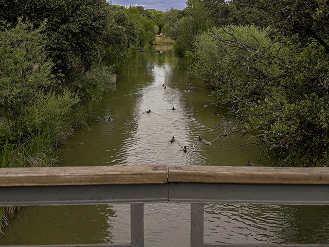 Las Rozas Impulsa la Conexión Verde: 14 km de Sendero para Unir a los Habitantes con la Naturaleza
