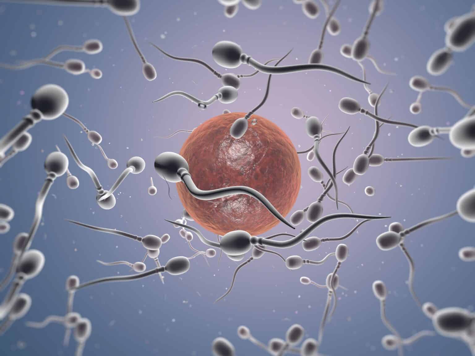 Maternidad y Metas Personales: Estrategias de Preservación de la Fertilidad para la Mujer Moderna
