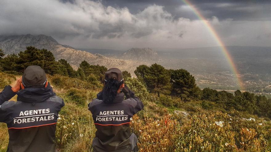 Nuevos Análisis en Madrid por Muerte Masiva de Cigüeñas en el Río Manzanares