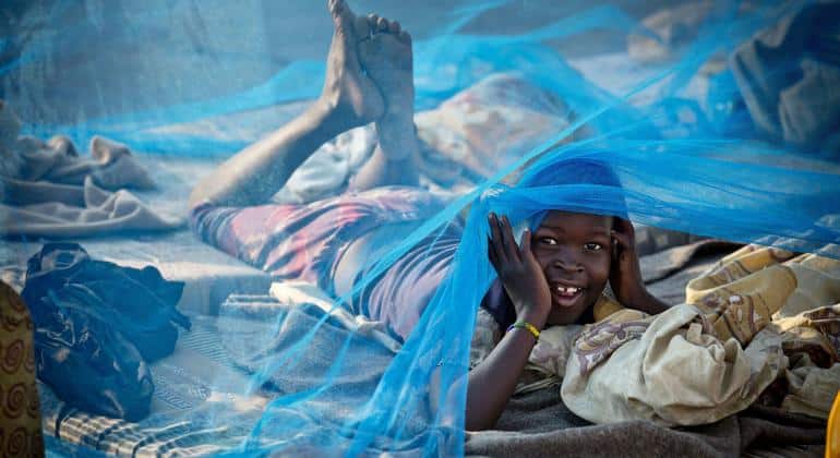 Nuevos Retos en la Erradicación de la Malaria: Superando la Resistencia Farmacológica y el Déficit de Financiación