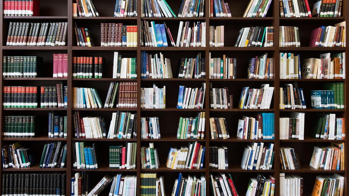 Aumento de Préstamos Bibliotecarios en Madrid: 3,1 Millones en 2025