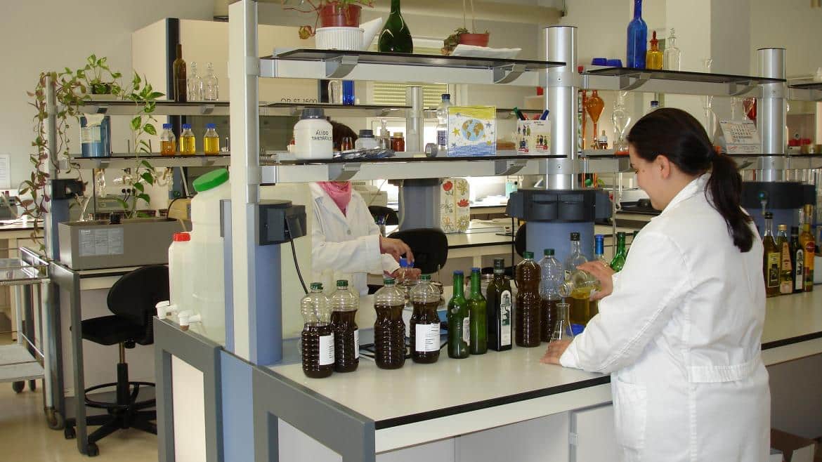 Avances en la Comunidad de Madrid: Innovación en Compuestos Bioactivos para Deportistas y Pacientes Oncológicos