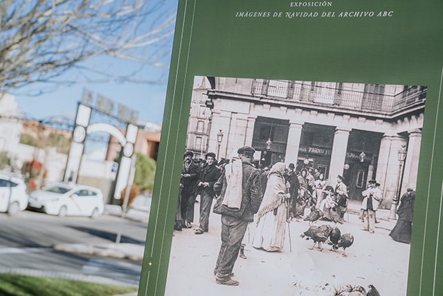 Descubre Actividades Imperdibles para un Fin de Semana en Las Rozas