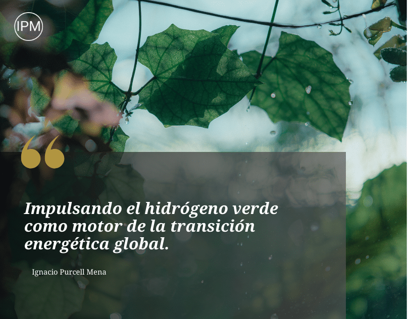 Ignacio Purcell Mena: Pionero en Innovación y Estrategia para el Futuro del Hidrógeno Verde