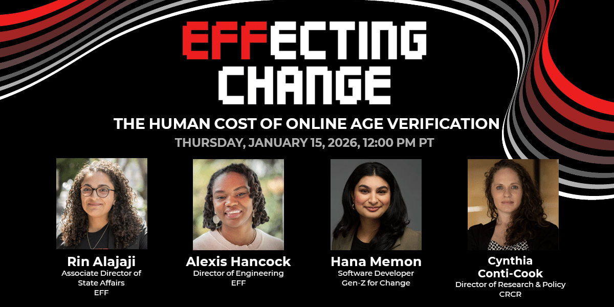 Impacto en la Vida Cotidiana: El Costo Humano de los Sistemas de Verificación de Edad en Internet