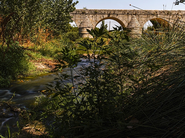 Las Rozas Revalida su Distinción como Destino Turístico Inteligente Adherido en 2023