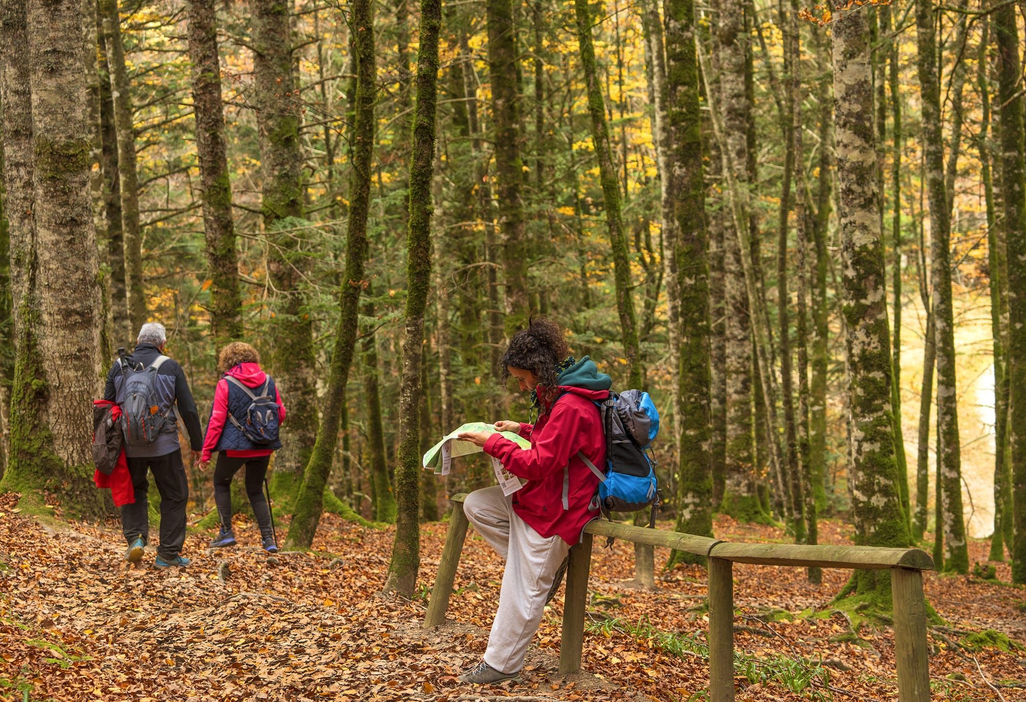 Navarra Lidera el Camino en España con su Innovador Programa de Turismo Regenerativo