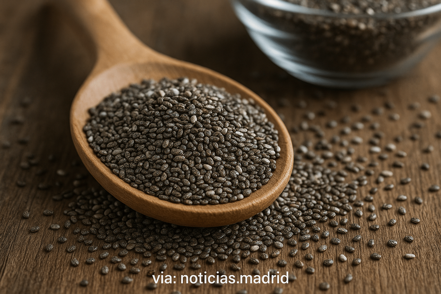 Las semillas de chía destacan