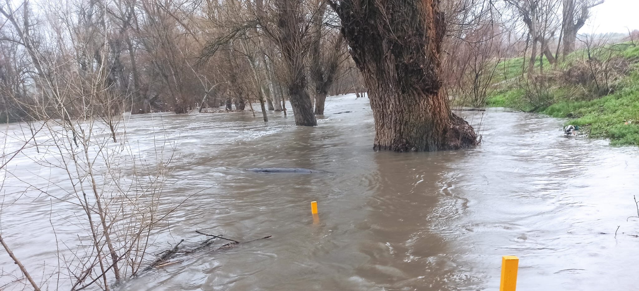 Alcalá de Henares refuerza medidas ante el aumento del caudal del río, cerrando accesos y el parking de la calle Río Tajuña