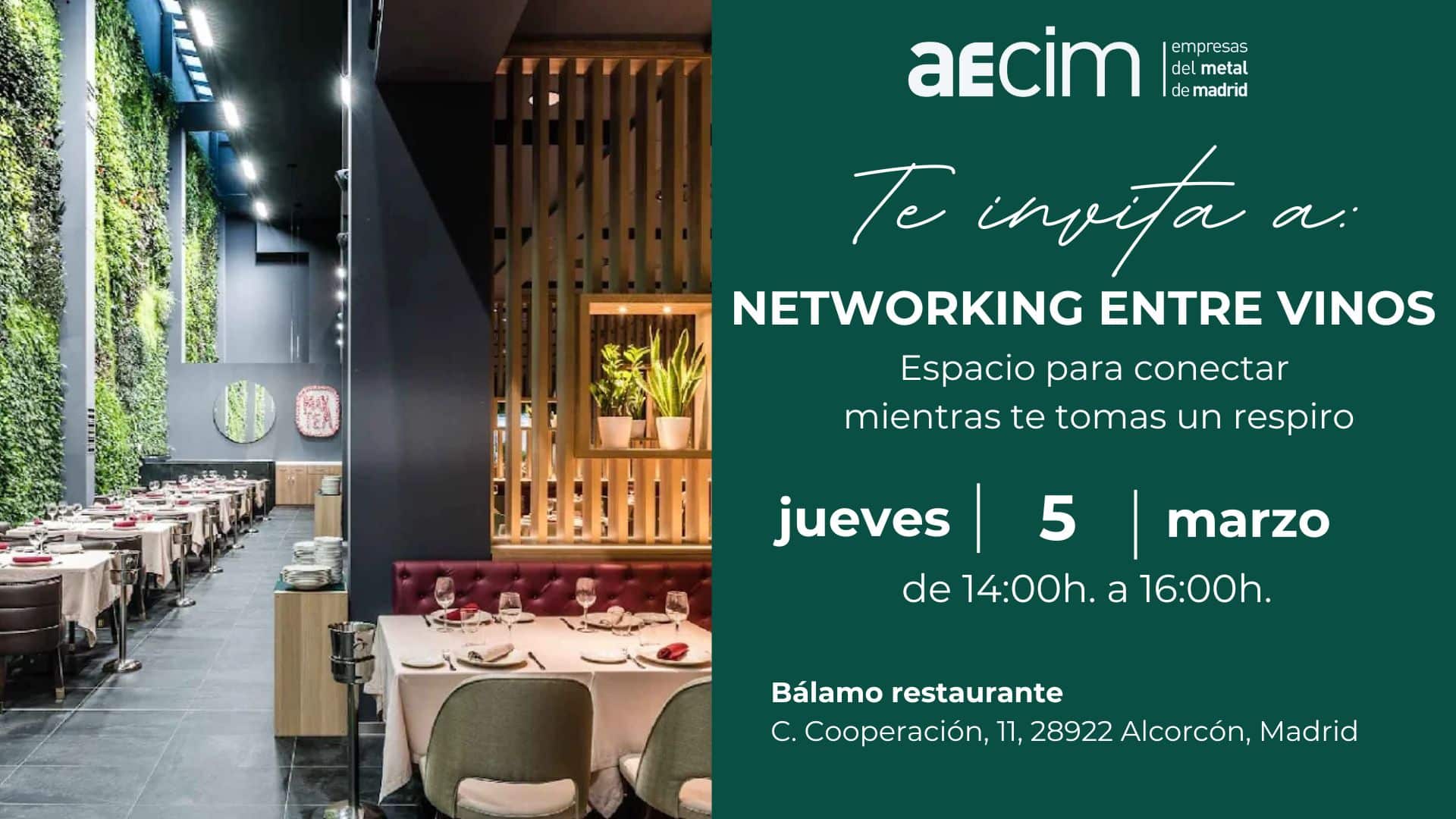 Arranca el Primer Networking de 2026: Dos Horas para Conectar y Crear Oportunidades Reales