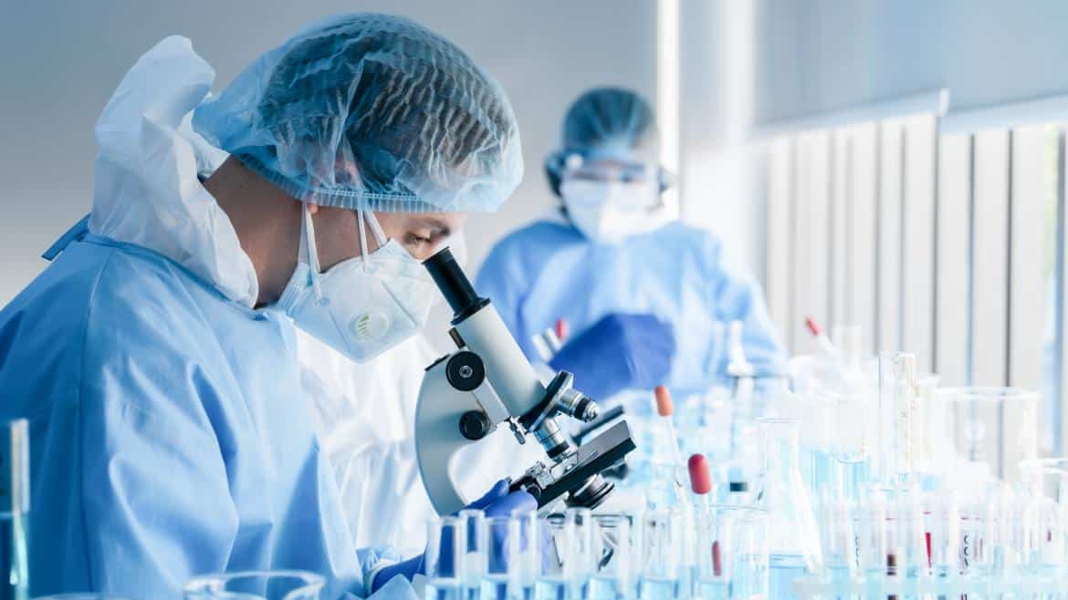 Avances en Oncología: La Comunidad de Madrid Investiga el Potencial de las Anémonas de Mar en el Tratamiento del Cáncer