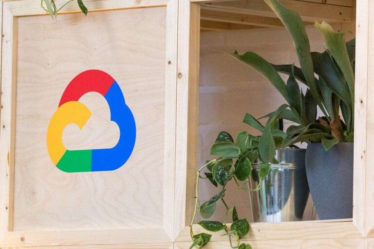 Cohesity y Google Cloud Innovan con un 'Sandbox' de Recuperación para ...