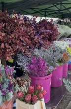 Explora Nuevos Hallazgos: Fin de Semana de Mercadillos con El Rastro de Las Rozas y el Inaugural Brandy Be Market
