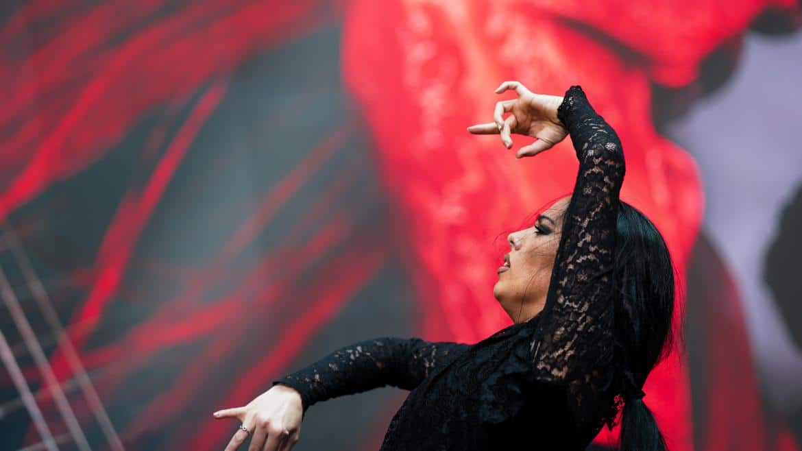 bailaora de flamenco