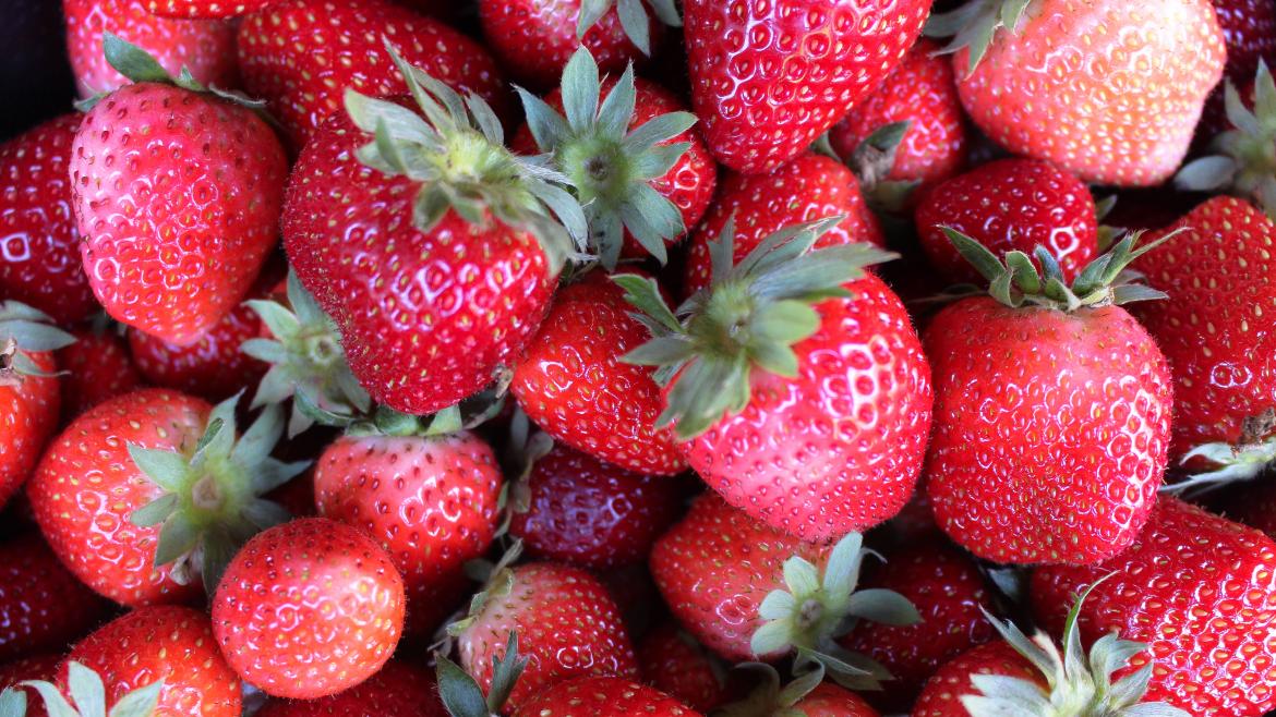 Fresas, Espárragos, Ajo y Miel: Nuevos Sellos de Calidad en la Comunidad de Madrid