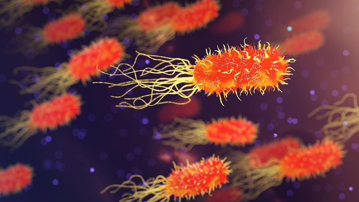 Hospital Ramón y Cajal recibe apoyo de la Fundación ‘la Caixa’ para destacado proyecto de investigación