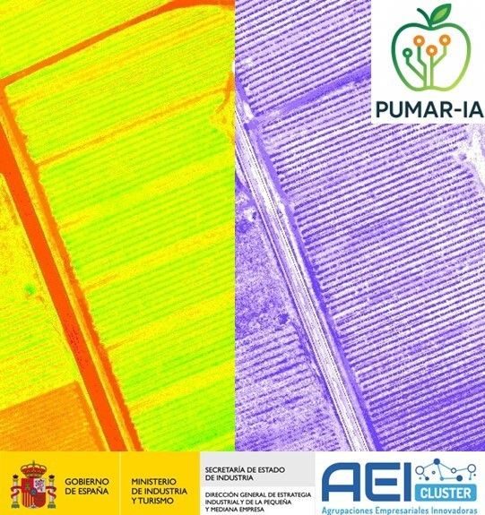 Innovación en la Producción de Manzanas para Sidra: Integración de IA y Teledetección en el Ciclo Productivo