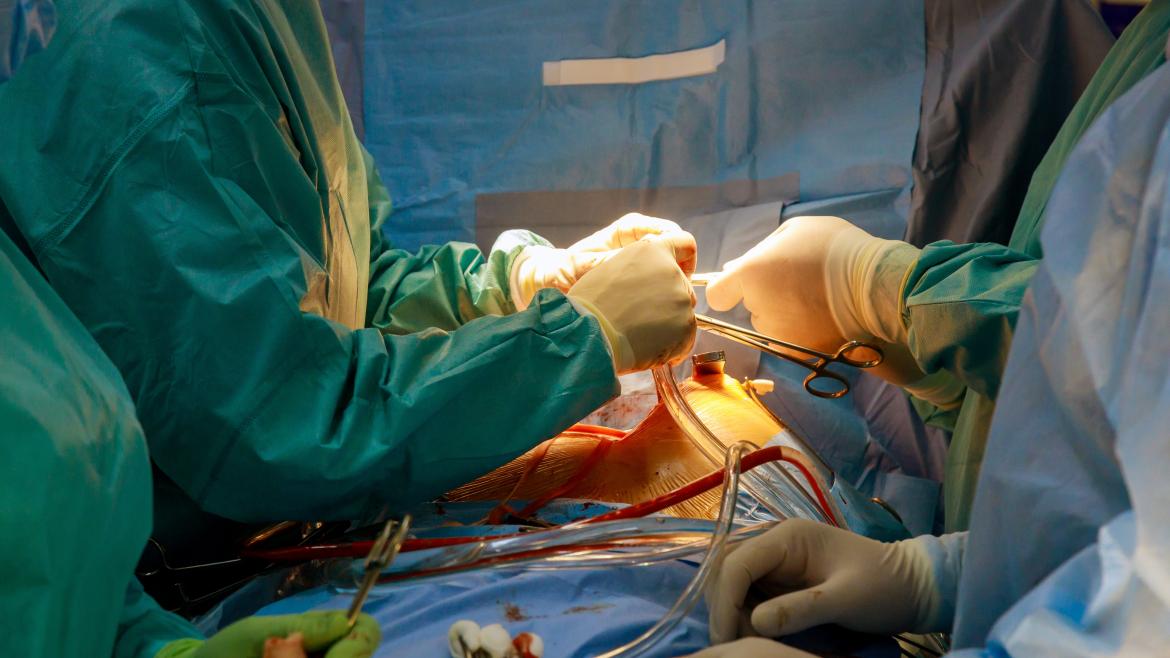 Inversión de 8 Millones por la Comunidad de Madrid para Innovar en Reparación de Válvulas Cardíacas sin Cirugía Abierta
