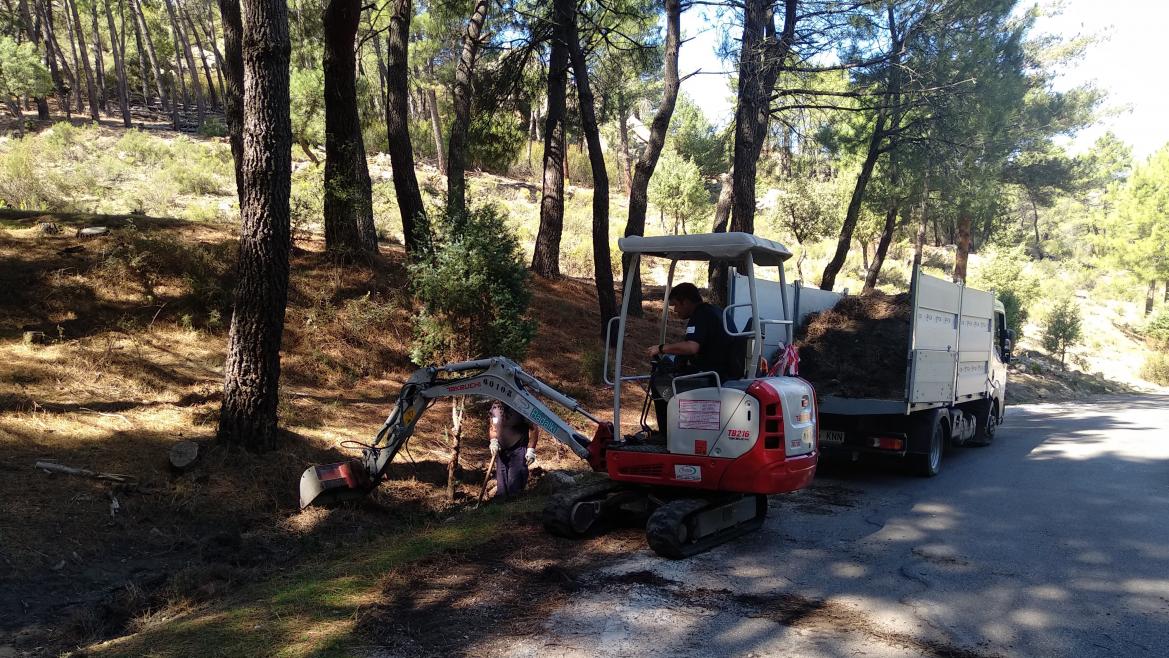 Inversión de la Comunidad de Madrid: Más de 770.000 euros para restaurar ecosistemas en áreas mineras y naturales