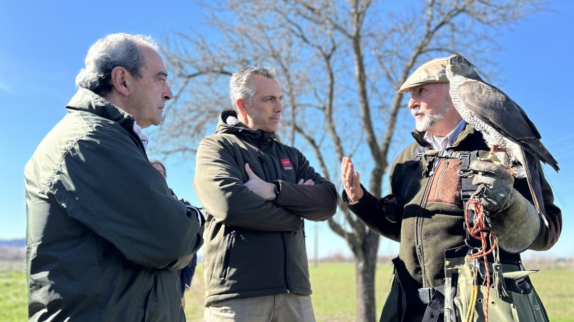 La Comunidad de Madrid Minimiza Daños Agrícolas y Accidentes de Tráfico con el Control de 9.000 Jabalíes