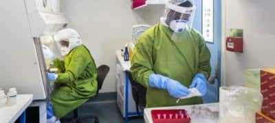 La OMS Evalúa Riesgo Bajo de Expansión del Virus Nipah en India