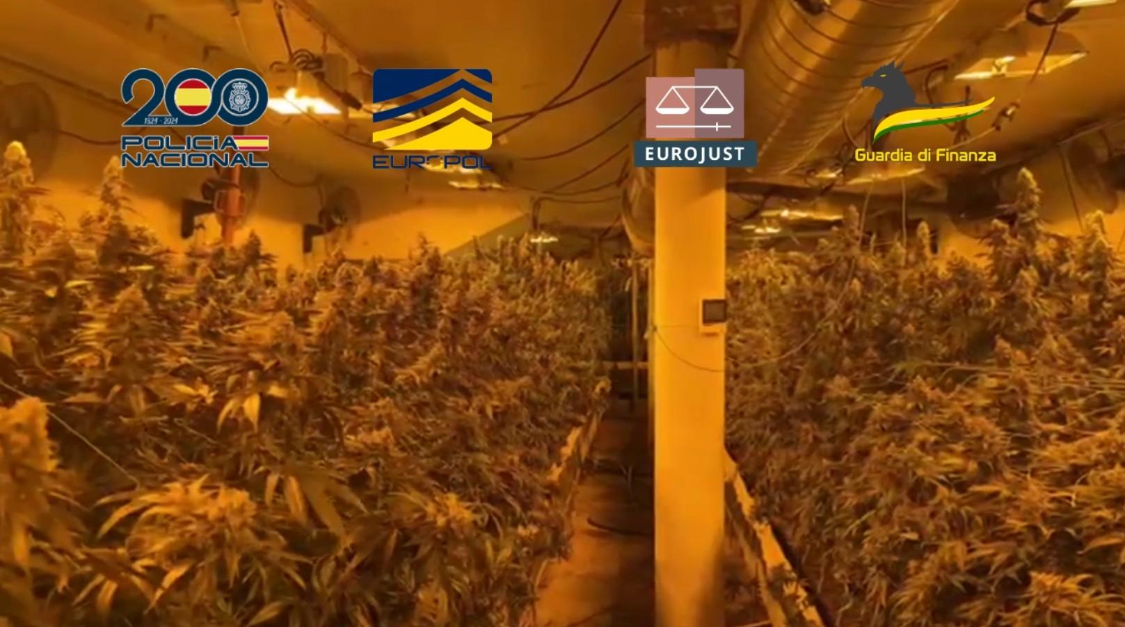 Operación internacional desmantela red de tráfico de drogas entre Barcelona y Catania coordinada por EUROPOL y EUROJUST