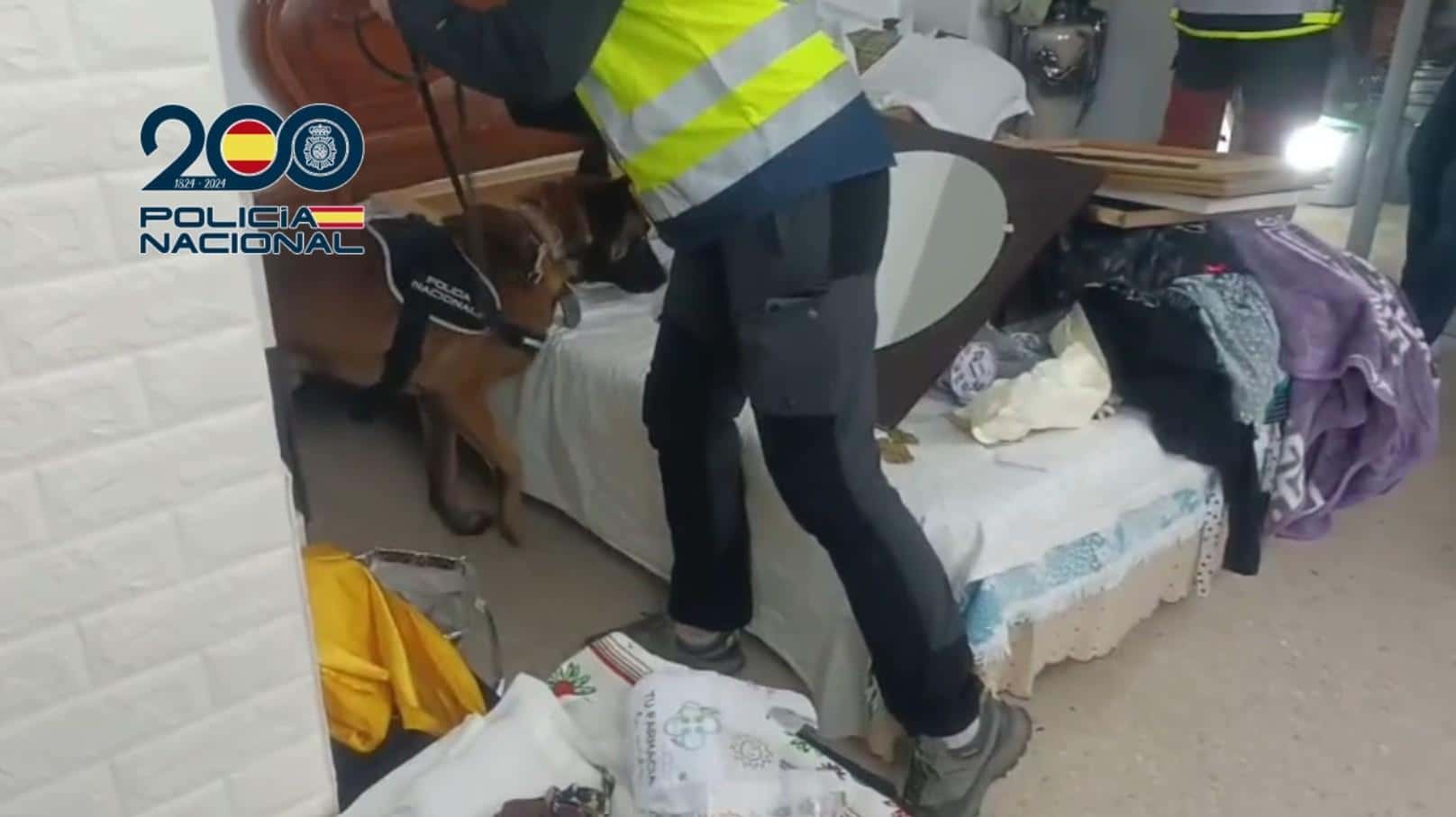 Operativo de la Policía Nacional en Sevilla evita la explotación laboral de temporeros y detiene a 17 miembros de un clan familiar