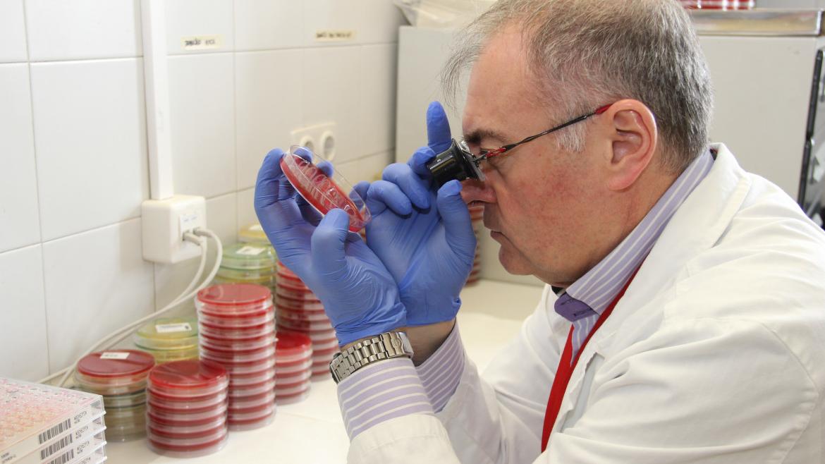 Reunión de Expertos en el Clínico San Carlos: Enfoque en Enfermedades Infecciosas y Uso de Antimicrobianos