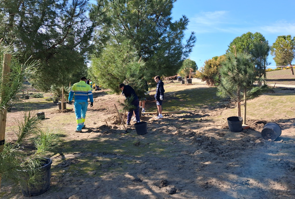 Actividades Lúdicas y Educativas para Celebrar el Día del Árbol Organizadas por el Ayuntamiento