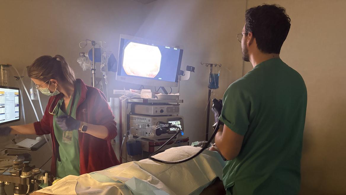 Avances en Endoscopia Avanzada: El Hospital Infanta Sofía Lidera en Técnicas Mínimamente Invasivas para Patologías Complejas