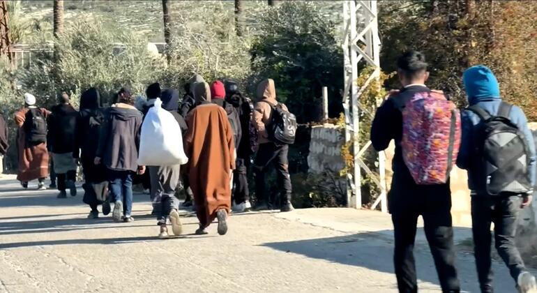 Desigualdad y Salud: Desplazados en Oriente Medio y la Crisis de Violencia Sexual en las Américas en el Foco Informativo del Viernes