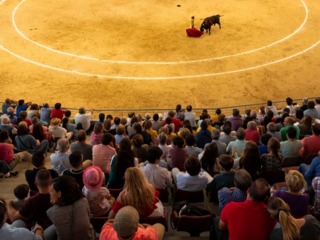 Deslumbrante Cartel de Estrellas en el II Festival de Primavera Este Sábado