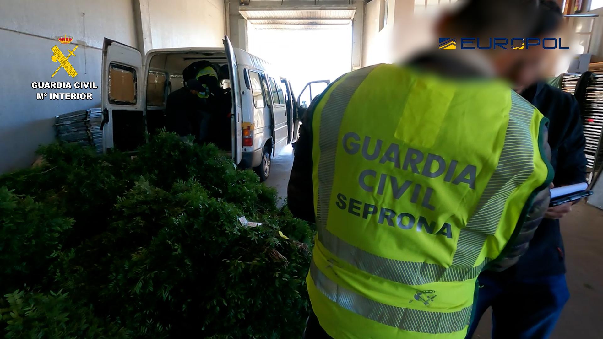 Detenidas 10 personas por expoliar cerca de mil toneladas de lentisco y exportarlo desde Tarragona a Europa