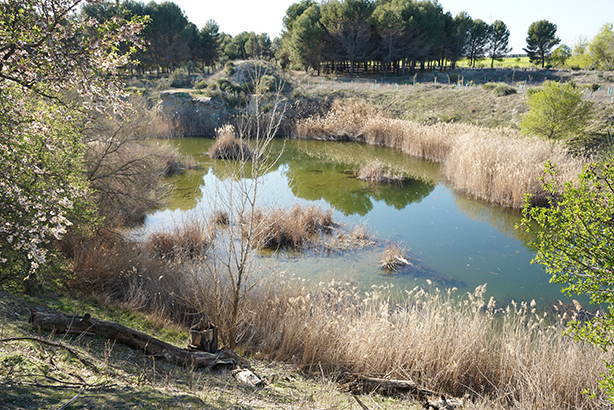 Lagunas de Horna